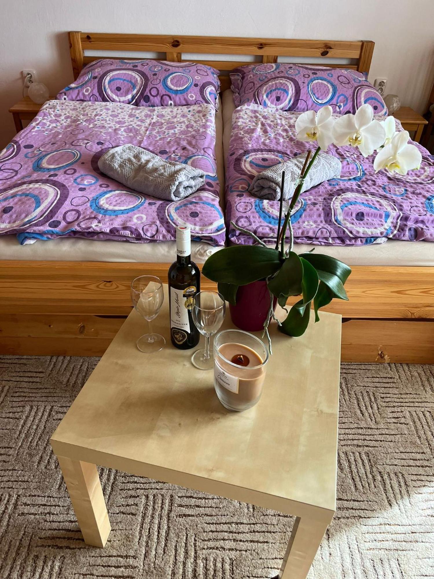 Apartman Za Kostelem Zvole  Room photo